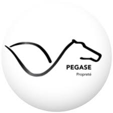 Extranet Clean Lille &ndash; Suivi et services de nettoyage